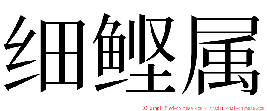 细鲣属 ming font