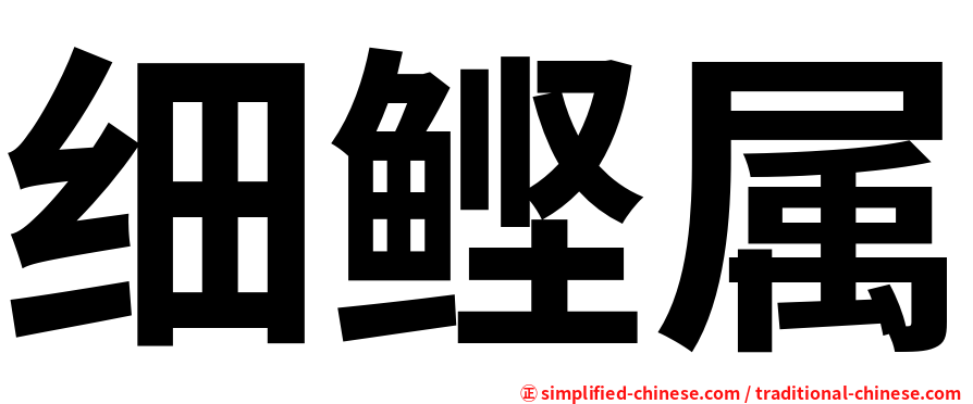 细鲣属