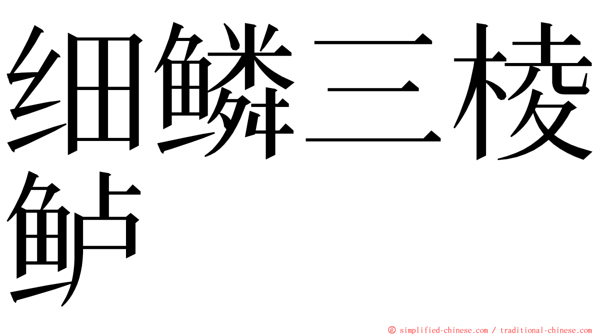 细鳞三棱鲈 ming font