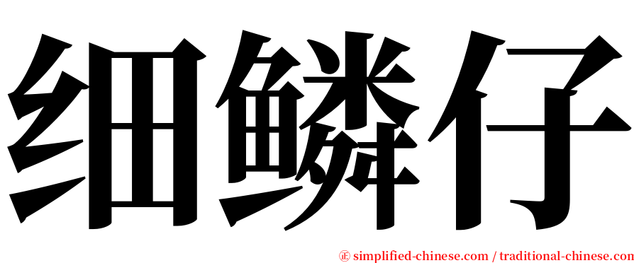 细鳞仔 serif font