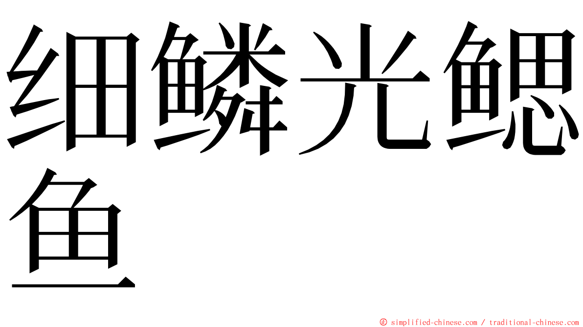 细鳞光鳃鱼 ming font