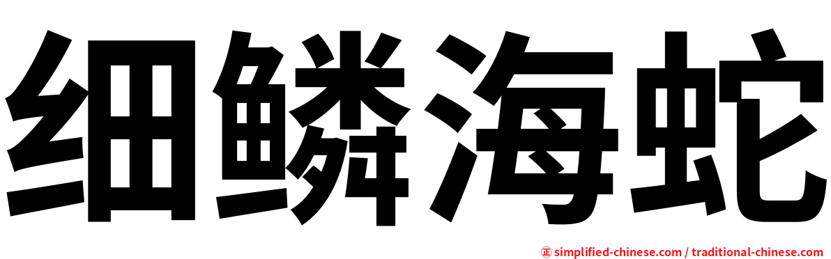 细鳞海蛇
