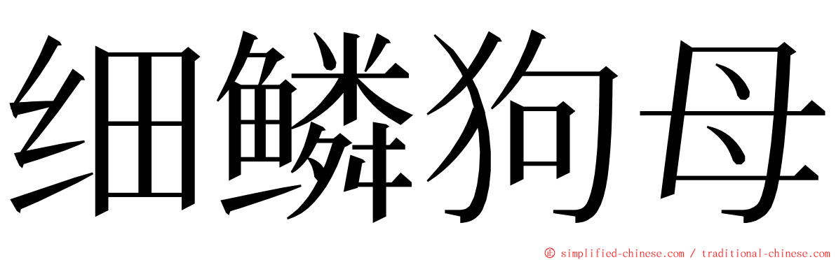 细鳞狗母 ming font