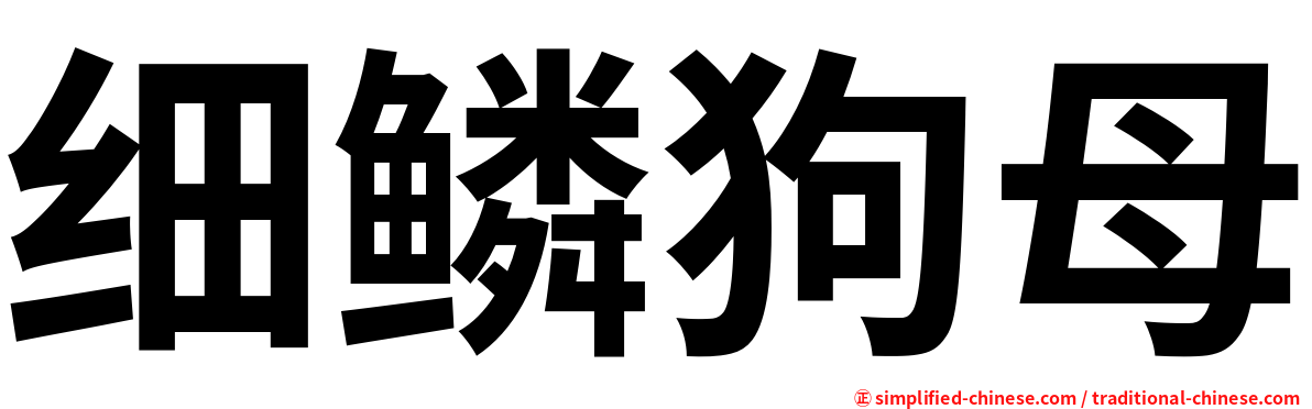 细鳞狗母