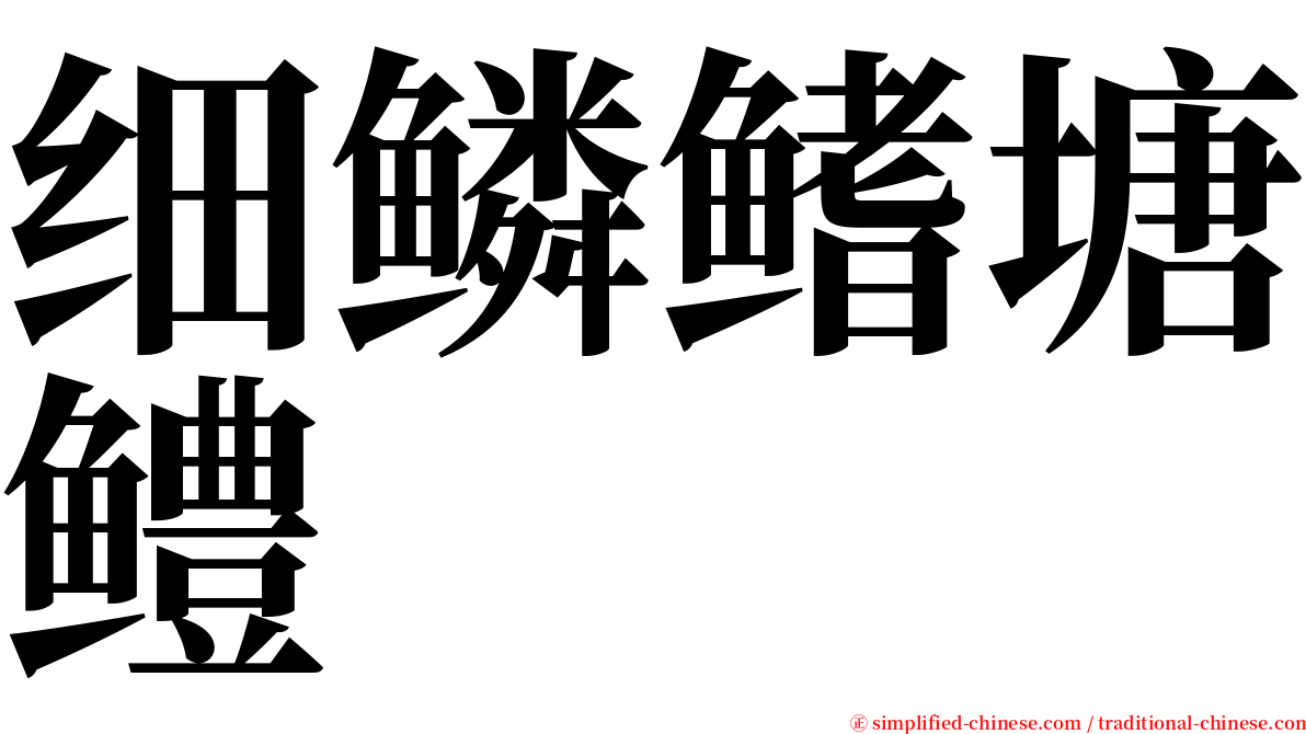 细鳞鳍塘鳢 serif font