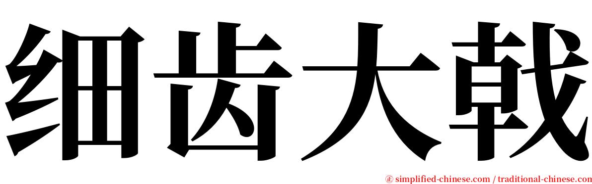 细齿大戟 serif font