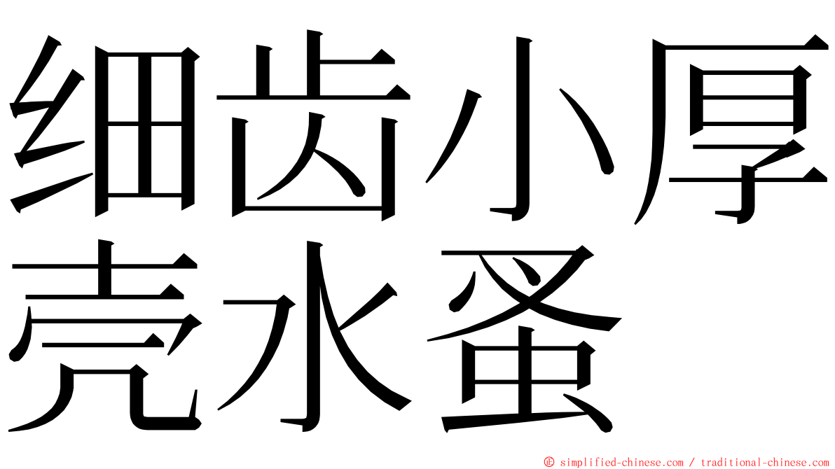 细齿小厚壳水蚤 ming font
