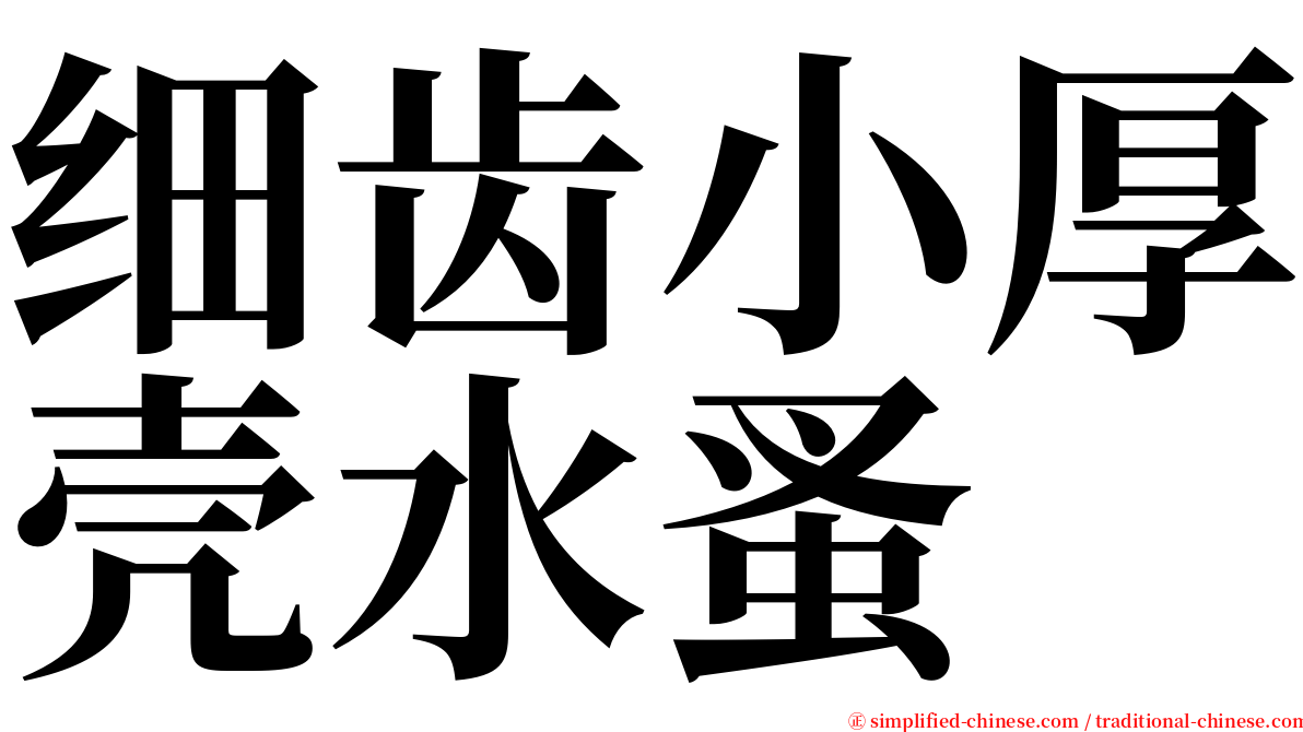 细齿小厚壳水蚤 serif font