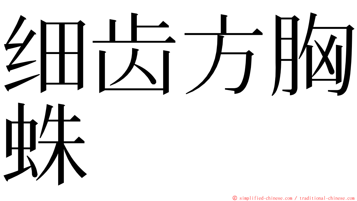 细齿方胸蛛 ming font