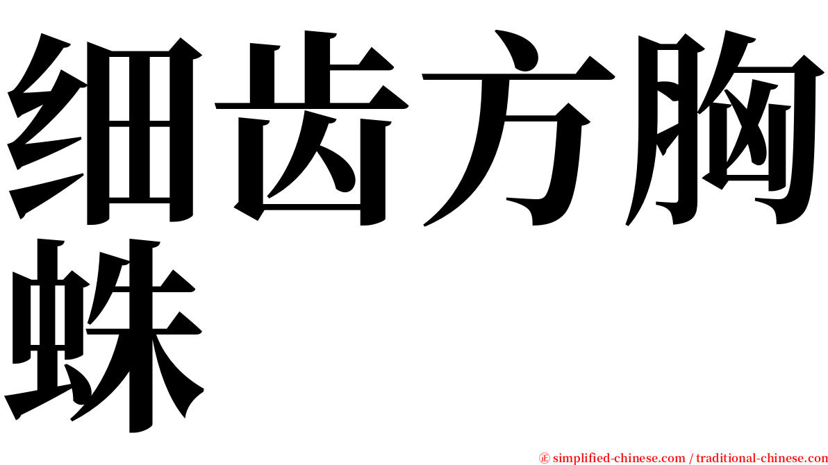 细齿方胸蛛 serif font