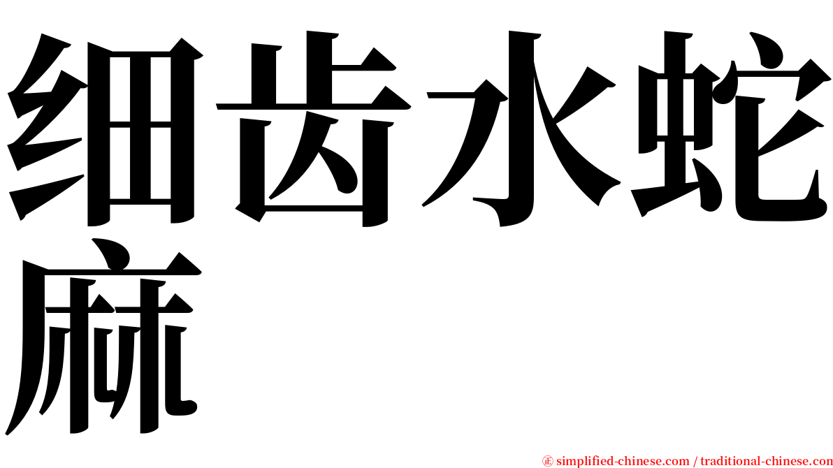 细齿水蛇麻 serif font