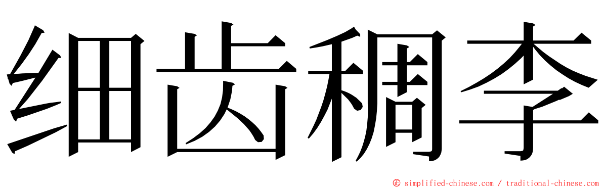 细齿稠李 ming font