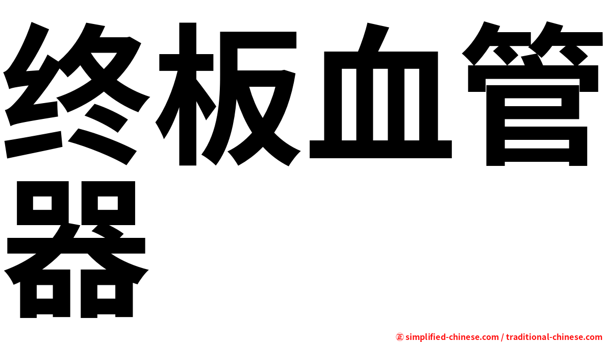终板血管器