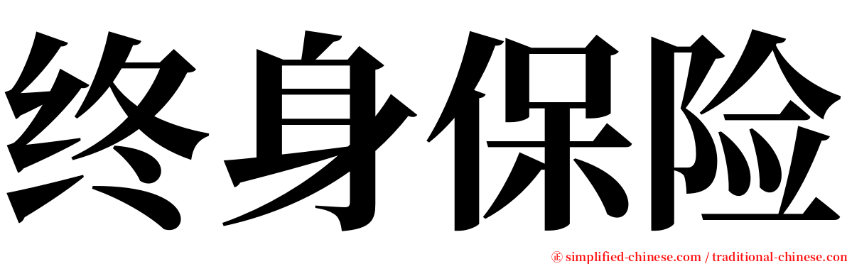 终身保险 serif font