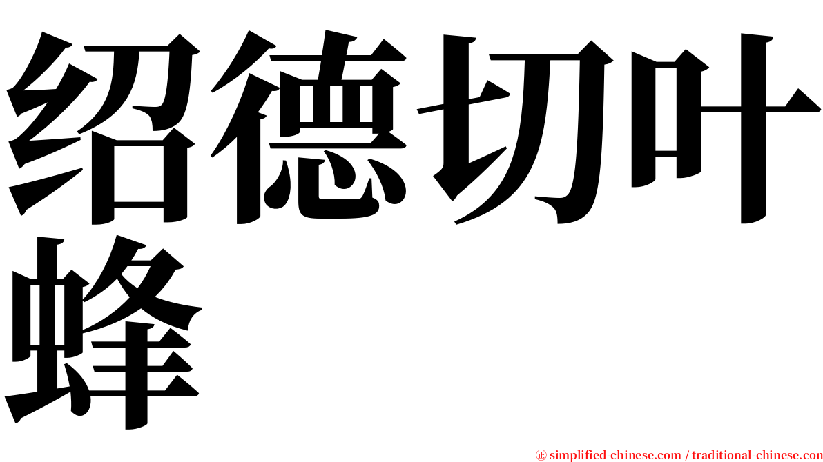 绍德切叶蜂 serif font