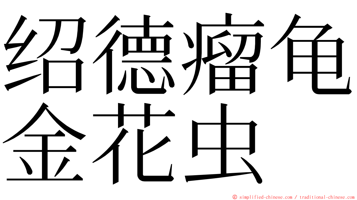 绍德瘤龟金花虫 ming font