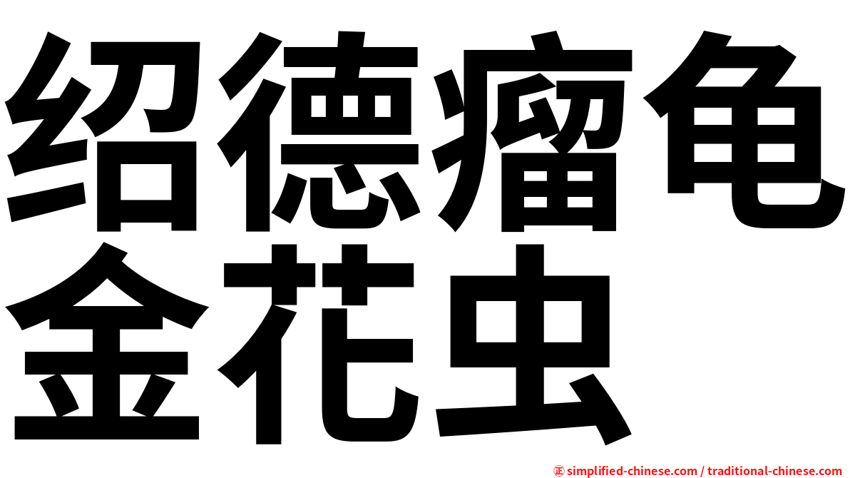绍德瘤龟金花虫