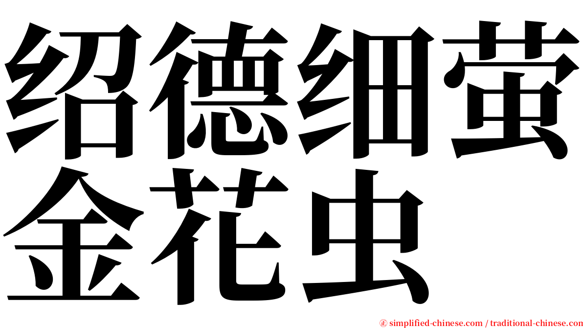 绍德细萤金花虫 serif font