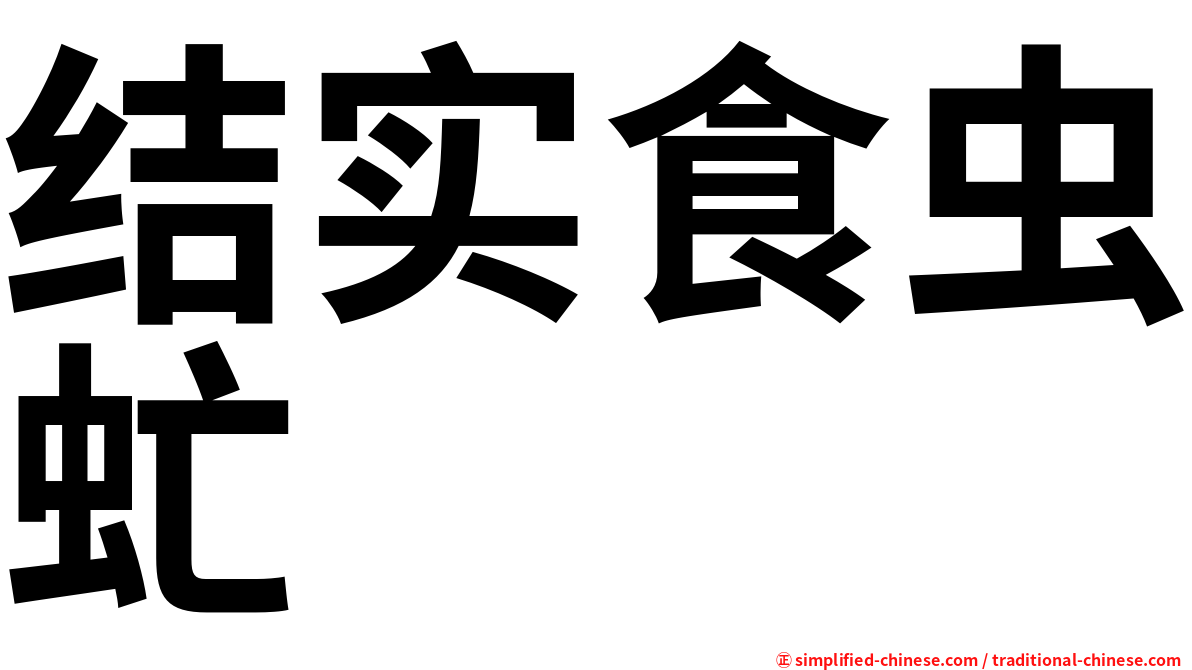 结实食虫虻