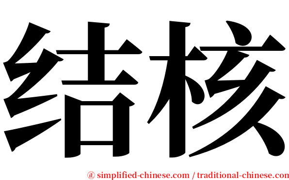 结核 serif font