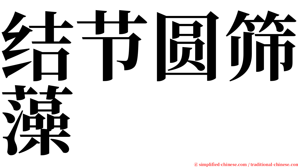 结节圆筛藻 serif font