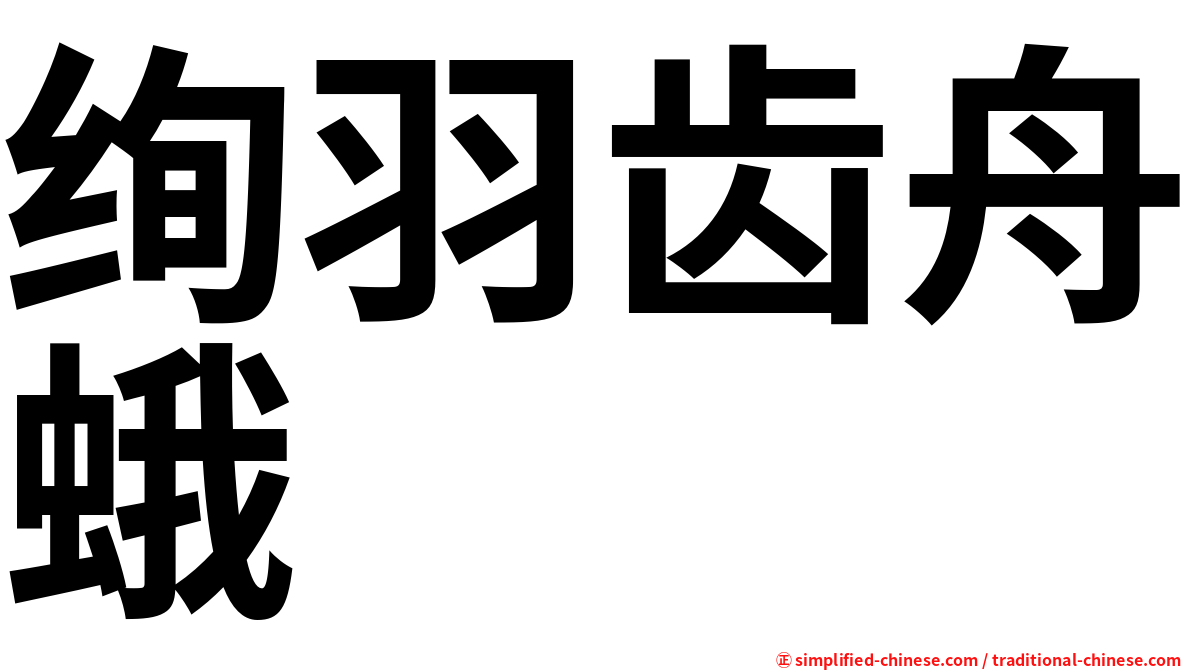 绚羽齿舟蛾