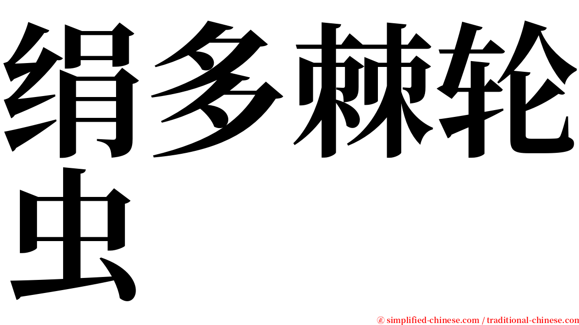 绢多棘轮虫 serif font