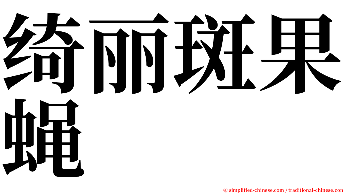 绮丽斑果蝇 serif font