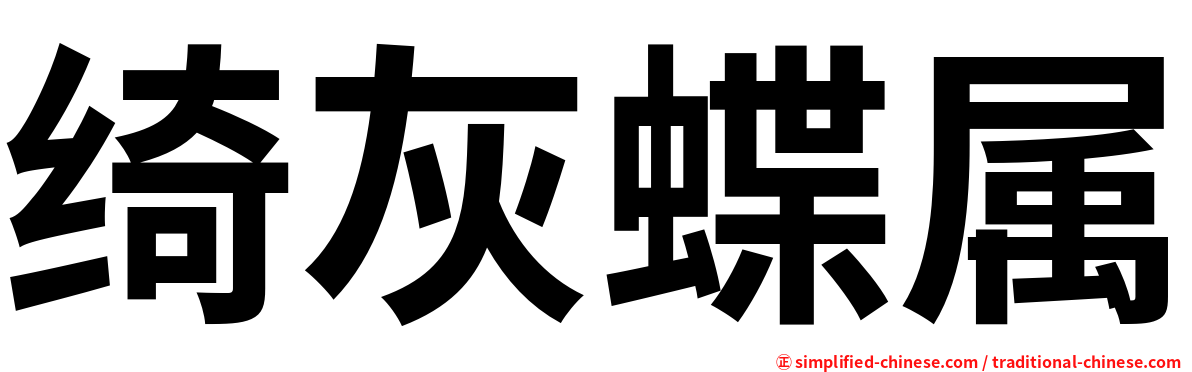 绮灰蝶属