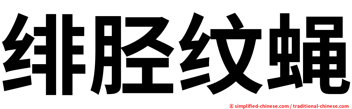 绯胫纹蝇