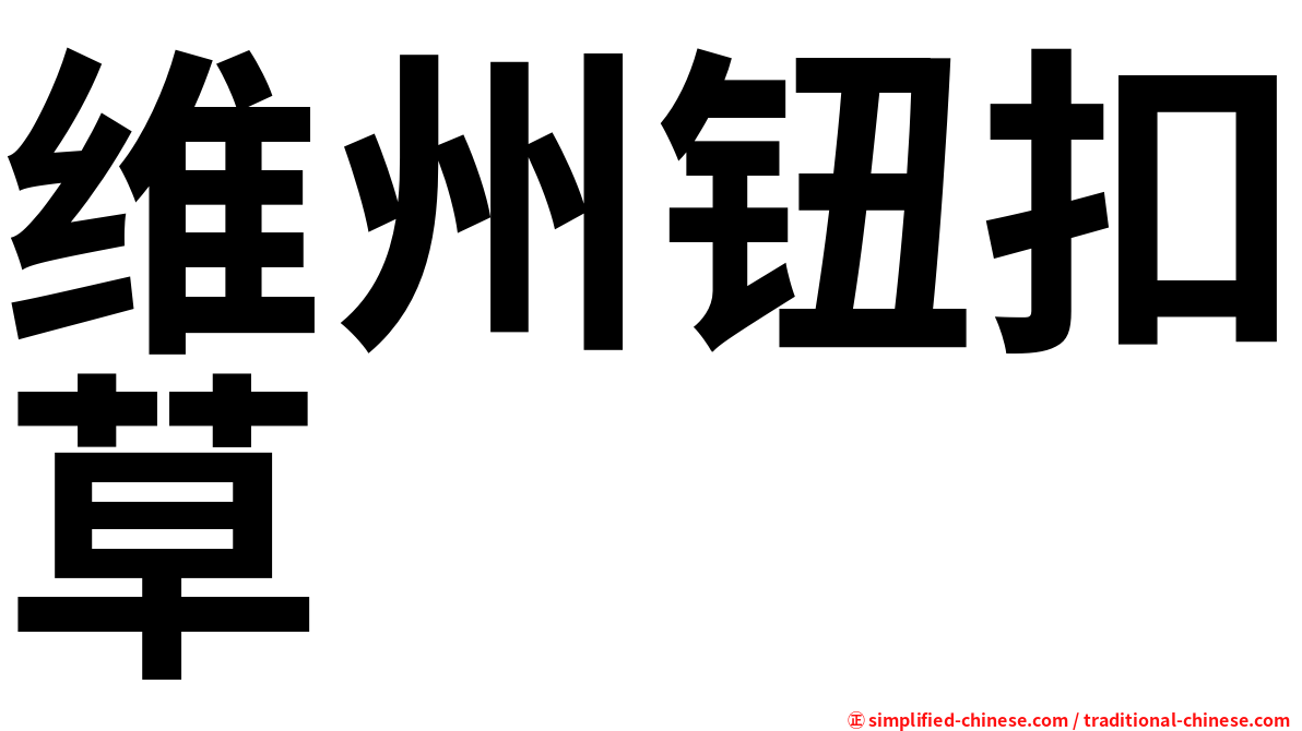 维州钮扣草