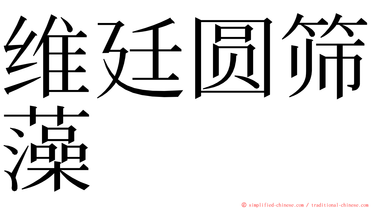 维廷圆筛藻 ming font