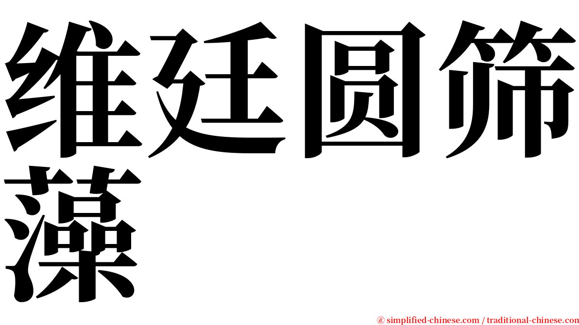 维廷圆筛藻 serif font