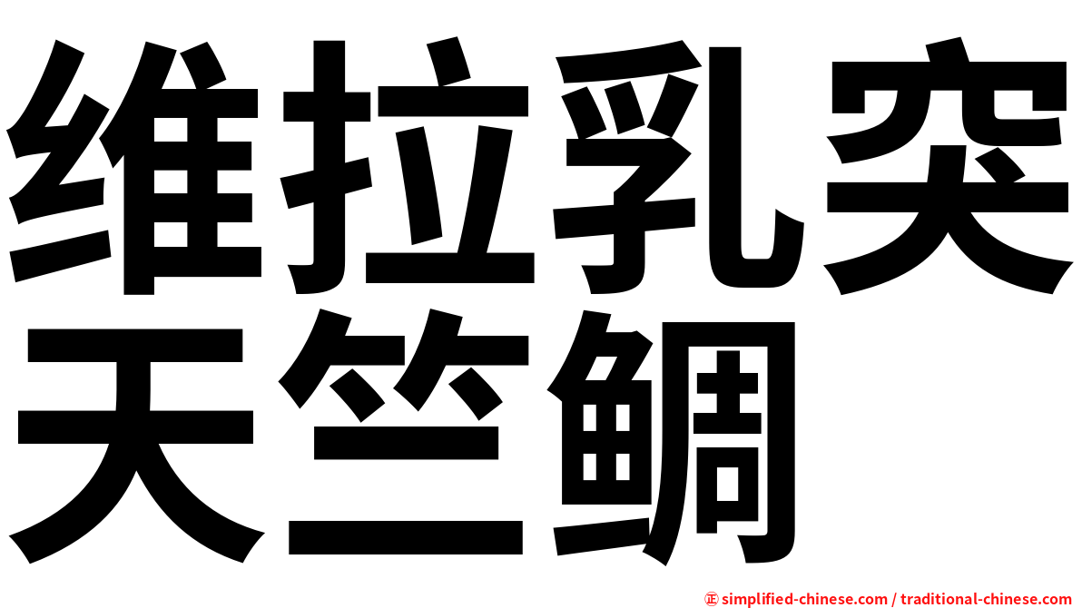 维拉乳突天竺鲷