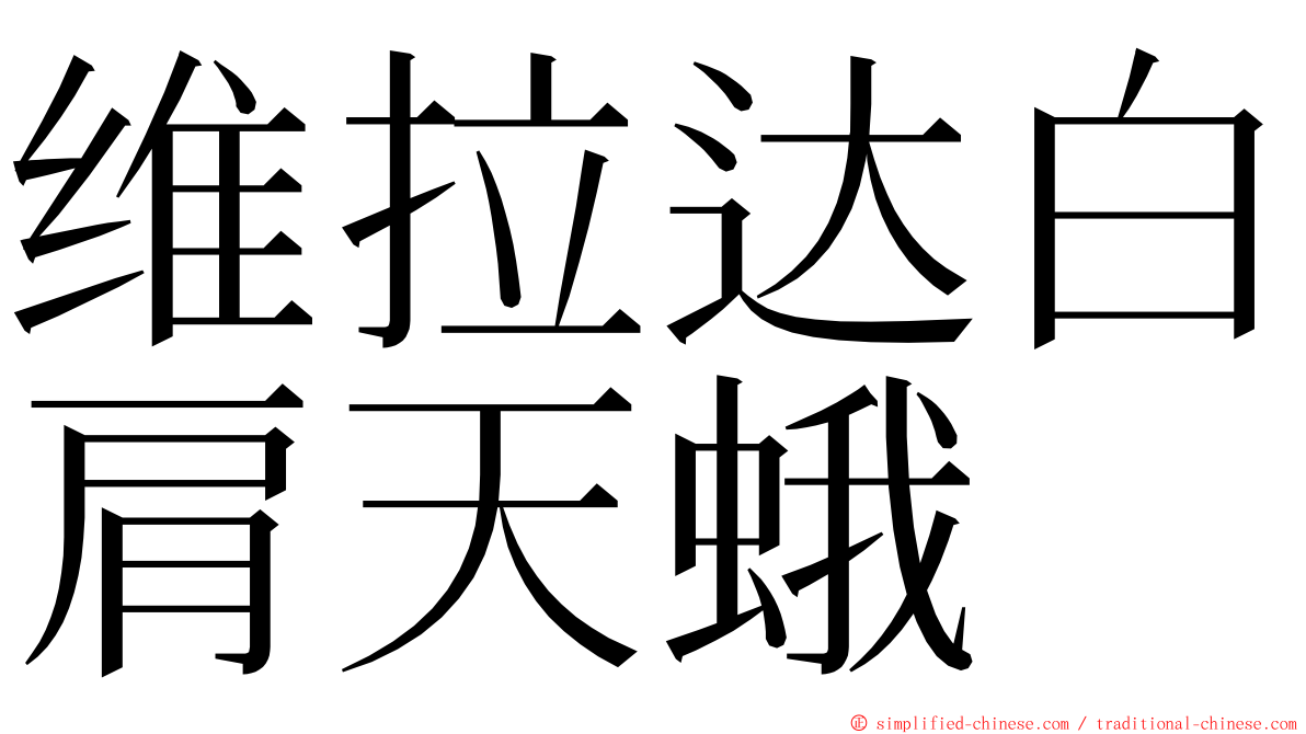 维拉达白肩天蛾 ming font