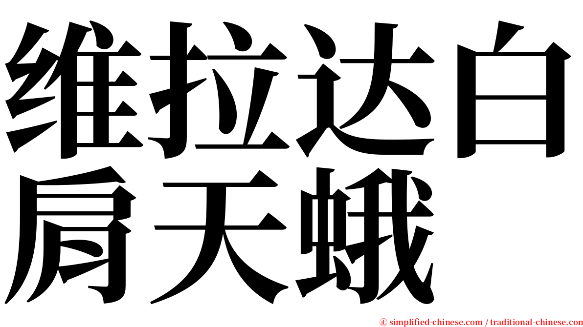 维拉达白肩天蛾 serif font