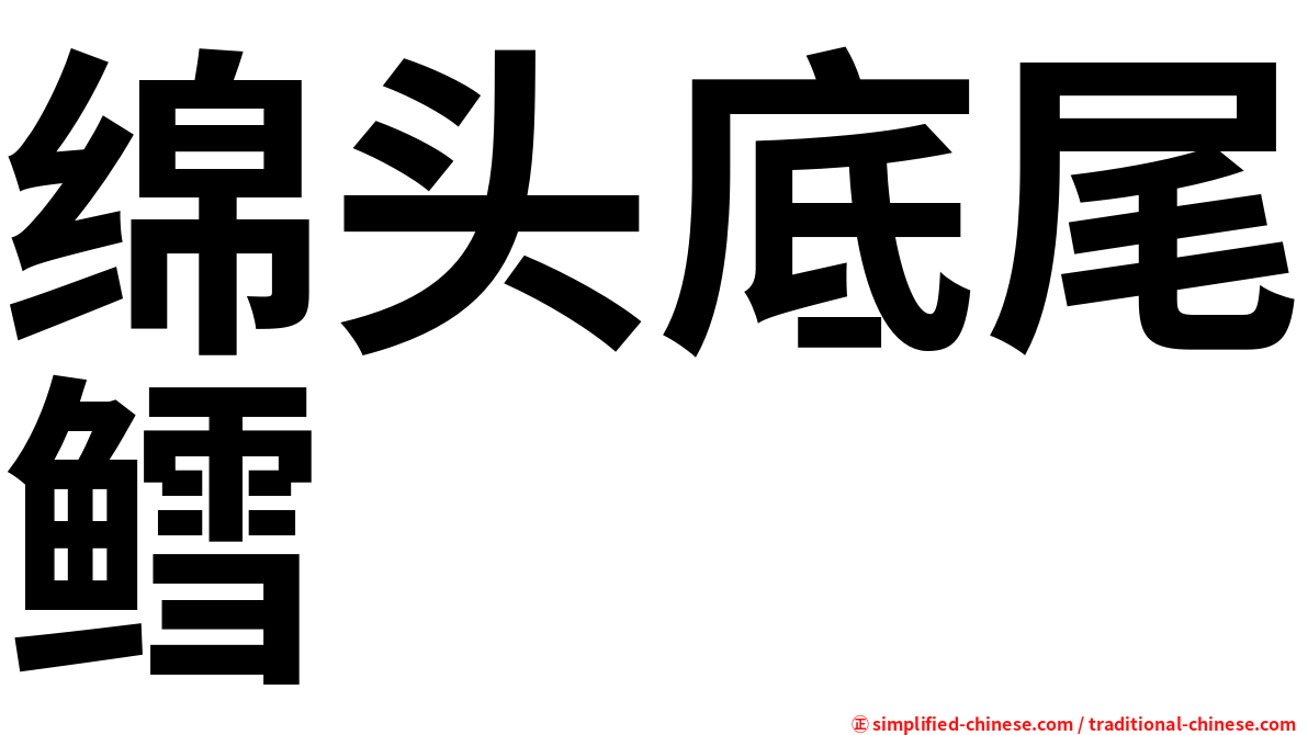 绵头底尾鳕