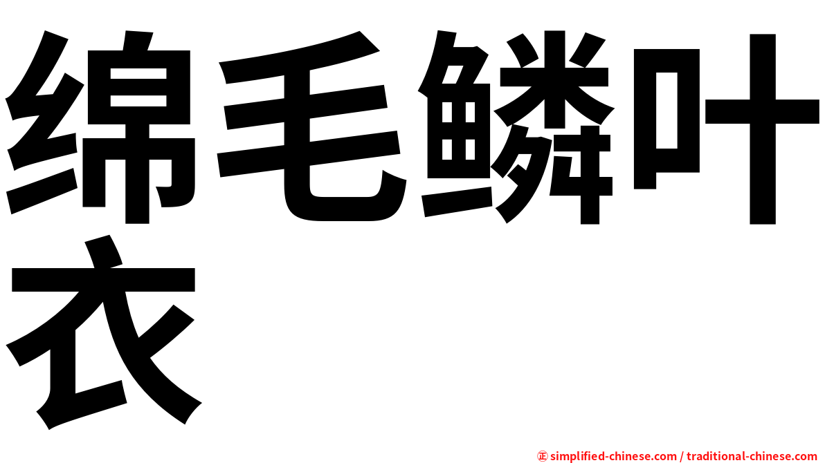 绵毛鳞叶衣