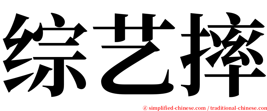 综艺摔 serif font