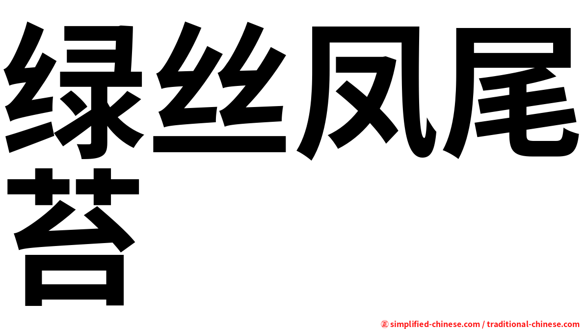 绿丝凤尾苔