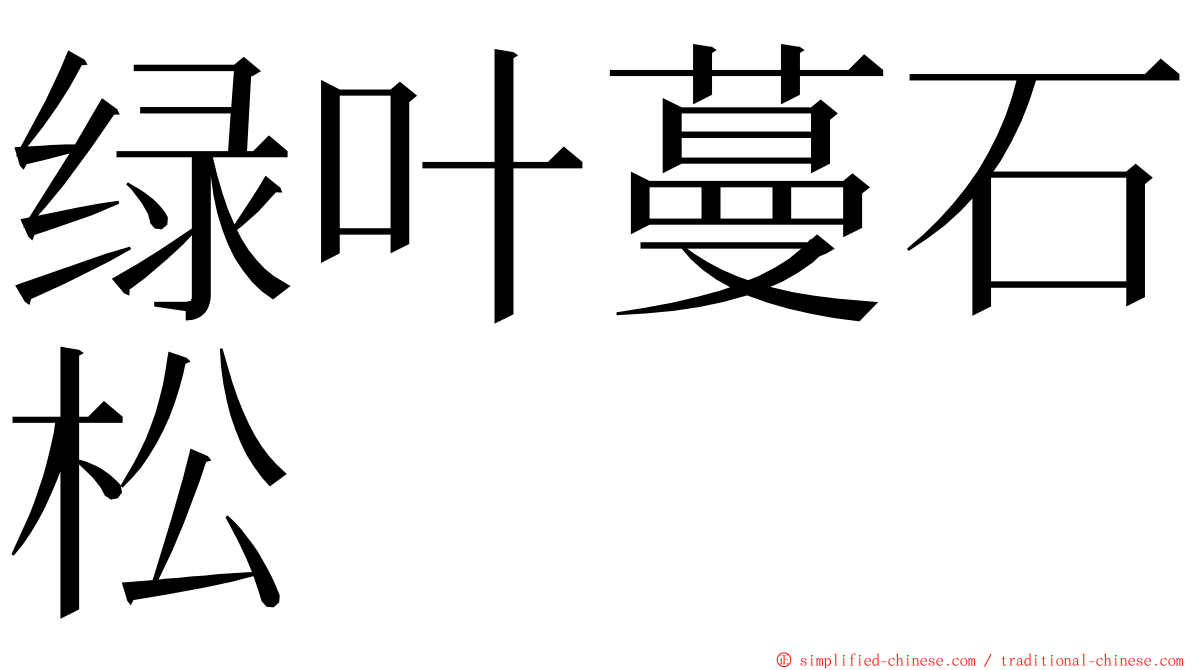 绿叶蔓石松 ming font