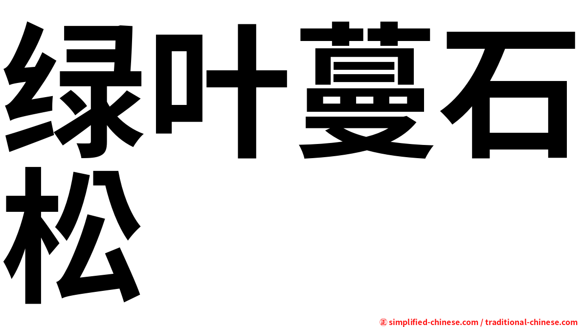 绿叶蔓石松