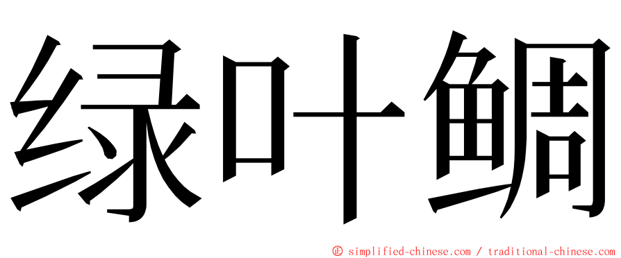 绿叶鲷 ming font