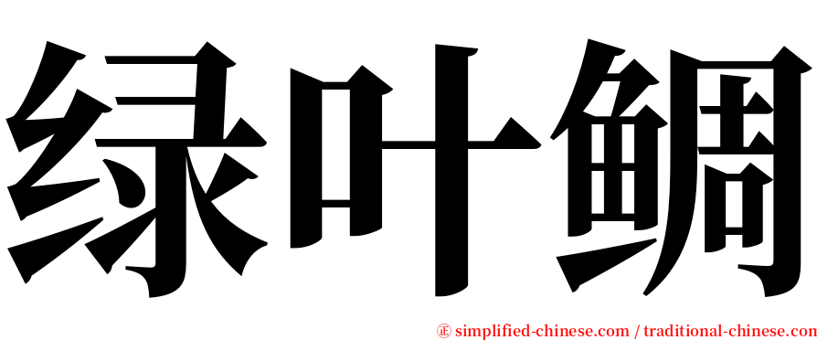 绿叶鲷 serif font