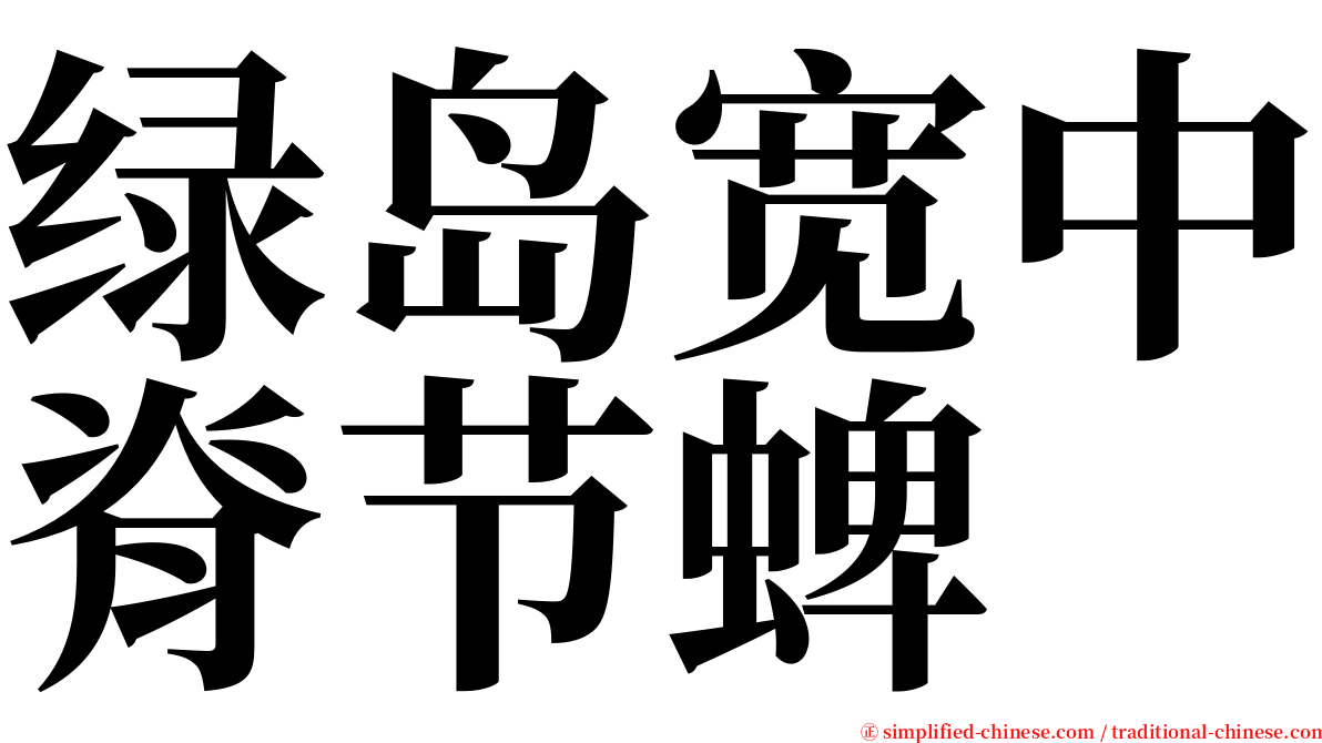绿岛宽中脊节蜱 serif font
