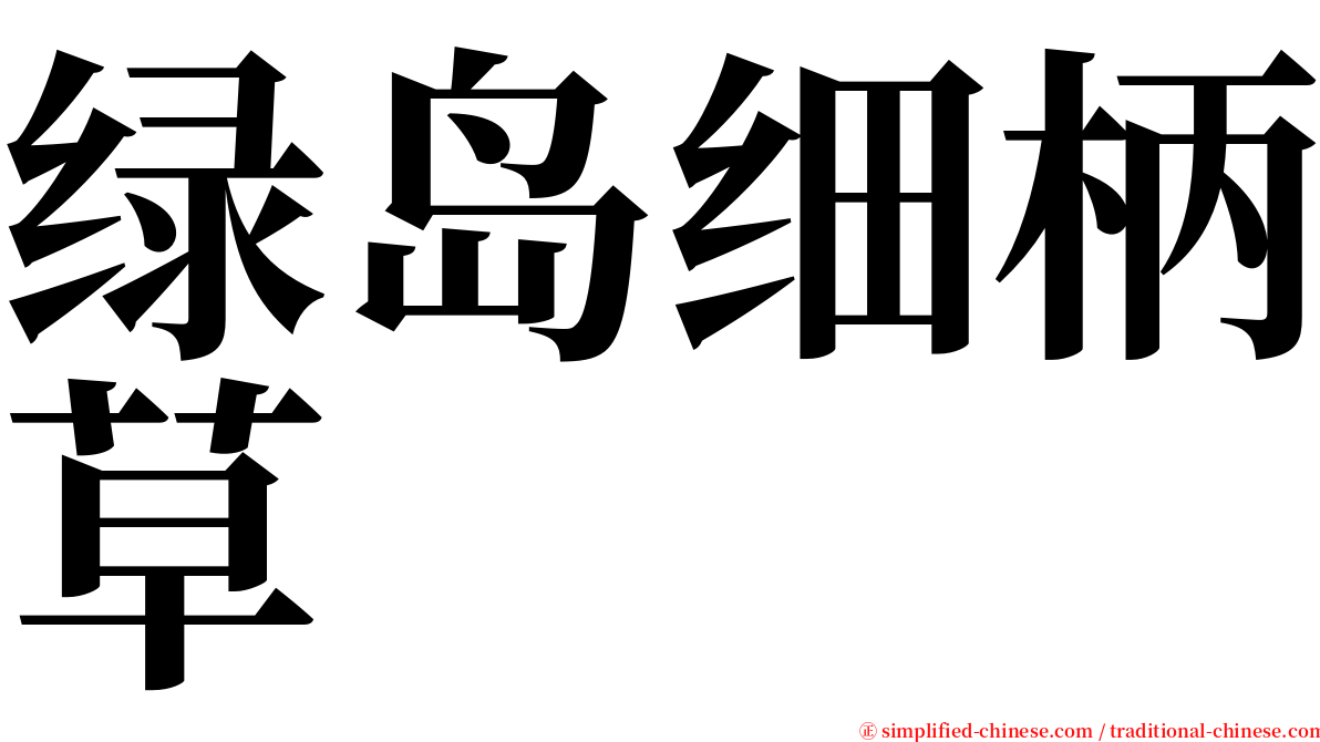 绿岛细柄草 serif font