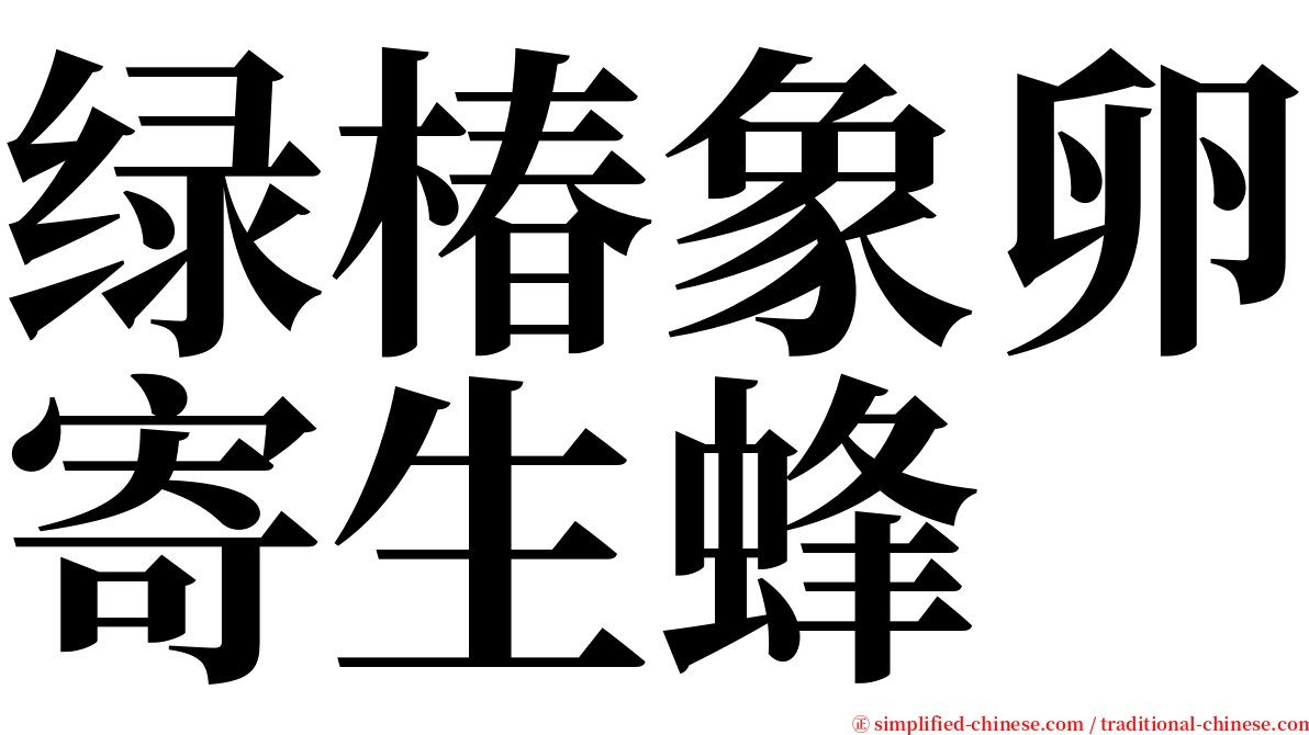 绿椿象卵寄生蜂 serif font