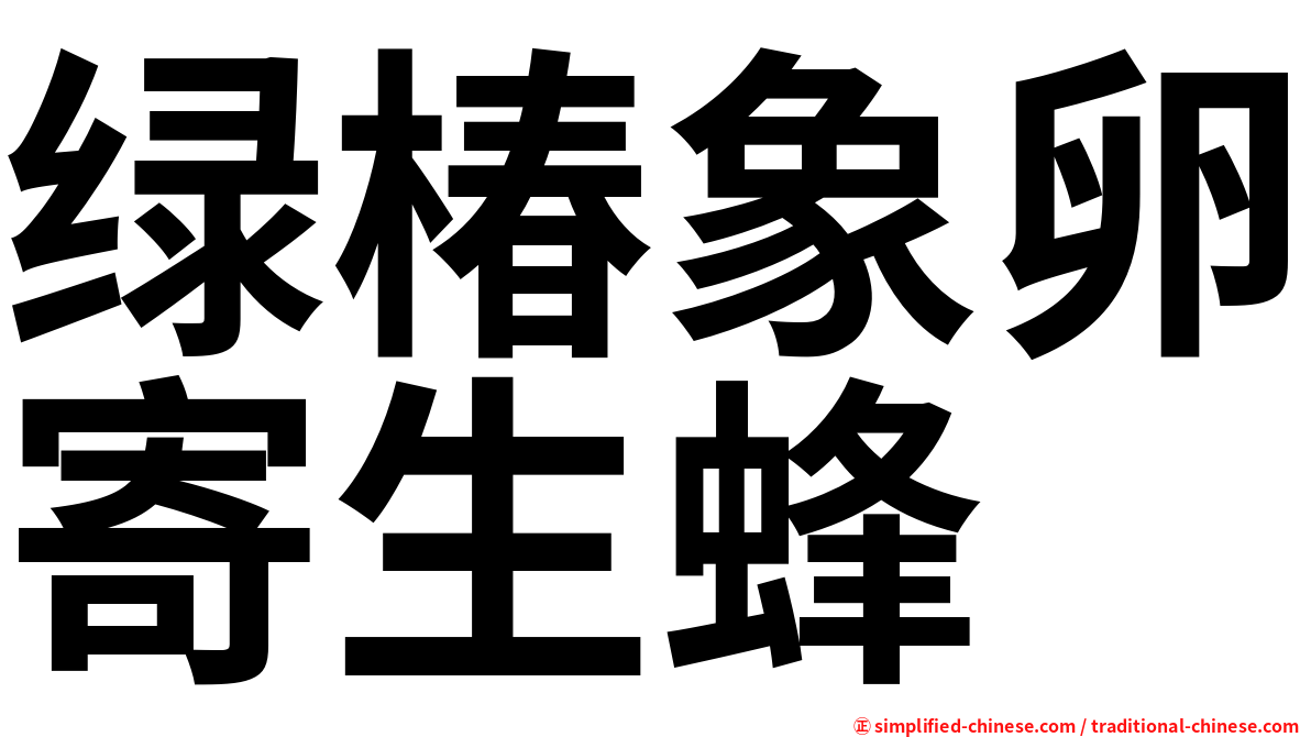 绿椿象卵寄生蜂