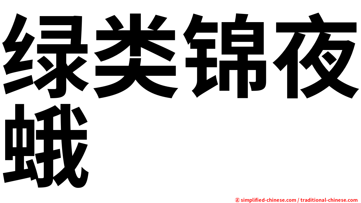 绿类锦夜蛾