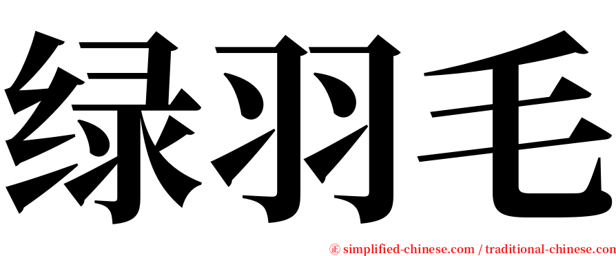 绿羽毛 serif font